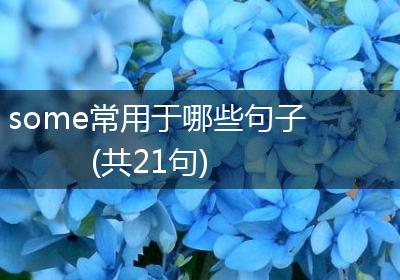 some常用于哪些句子(共21句)