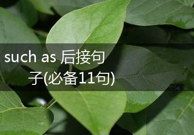 such as 后接句子(必备11句)