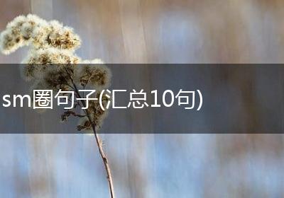 sm圈句子(汇总10句)