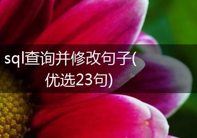 sql查询并修改句子(优选23句)