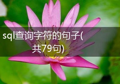 sql查询字符的句子(共79句)