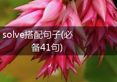 solve搭配句子(必备41句)