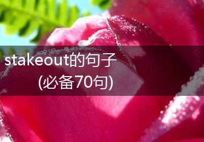stakeout的句子(必备70句)