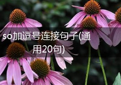 so加逗号连接句子(通用20句)
