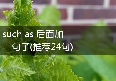 such as 后面加句子(推荐24句)