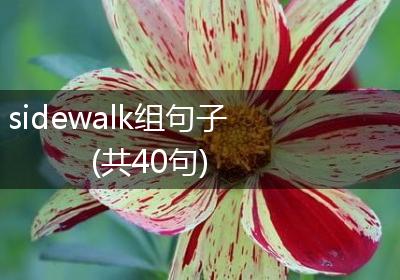 sidewalk组句子(共40句)