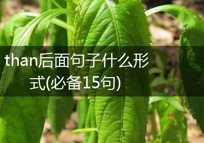 than后面句子什么形式(必备15句)