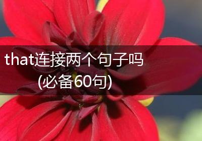 that连接两个句子吗(必备60句)