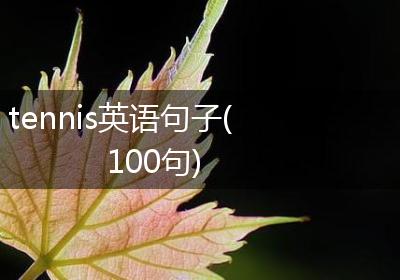 tennis英语句子(100句)