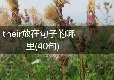 their放在句子的哪里(40句)