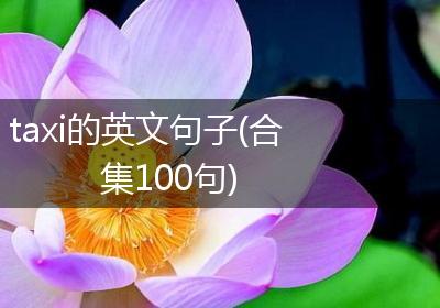 taxi的英文句子(合集100句)