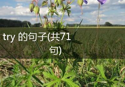 try 的句子(共71句)