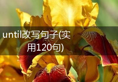 until改写句子(实用120句)