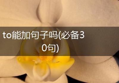 to能加句子吗(必备30句)