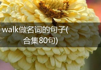 walk做名词的句子(合集80句)