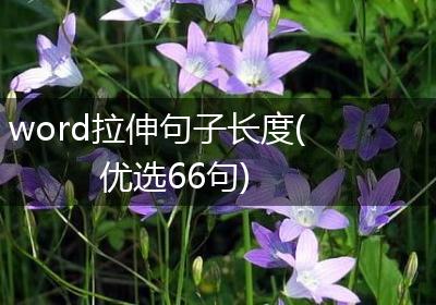 word拉伸句子长度(优选66句)
