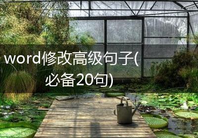 word修改高级句子(必备20句)