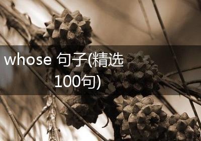 whose 句子(精选100句)