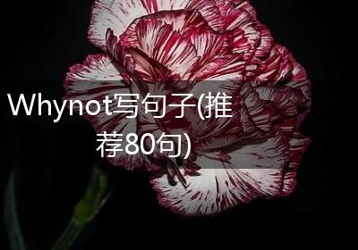 Whynot写句子(推荐80句)
