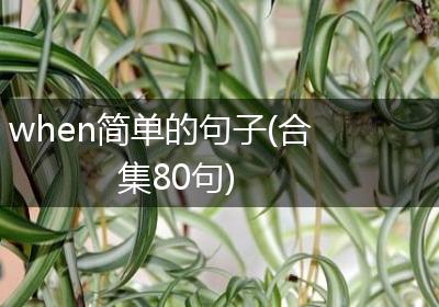 when简单的句子(合集80句)