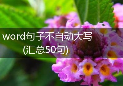word句子不自动大写(汇总50句)