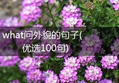 what问外貌的句子(优选100句)