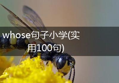 whose句子小学(实用100句)