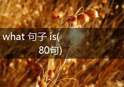 what 句子 is(80句)