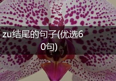 zu结尾的句子(优选60句)