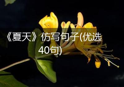 《夏天》仿写句子(优选40句)