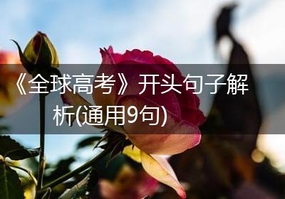 《全球高考》开头句子解析(通用9句)