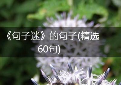 《句子迷》的句子(精选60句)