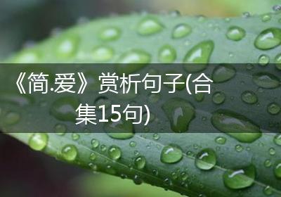 《简.爱》赏析句子(合集15句)