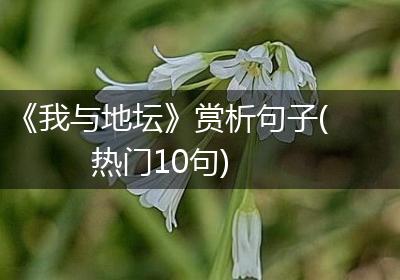 《我与地坛》赏析句子(热门10句)