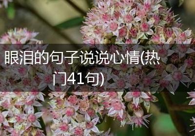 眼泪的句子说说心情(热门41句)