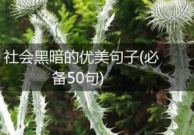 社会黑暗的优美句子(必备50句)
