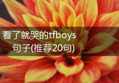 看了就哭的tfboys句子(推荐20句)