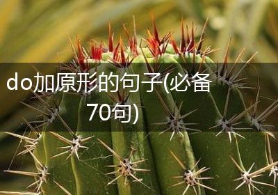do加原形的句子(必备70句)