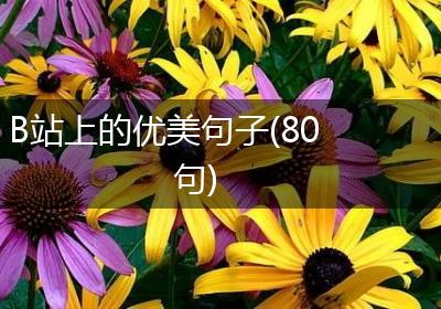B站上的优美句子(80句)