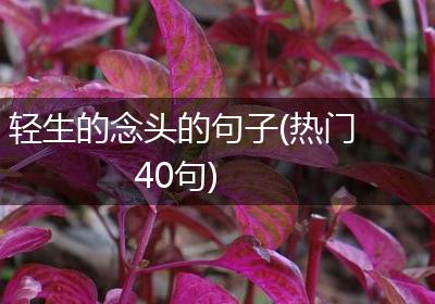 轻生的念头的句子(热门40句)
