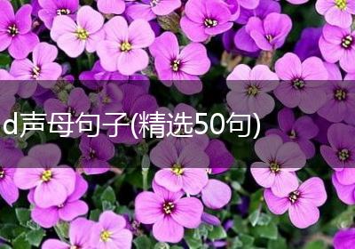 d声母句子(精选50句)