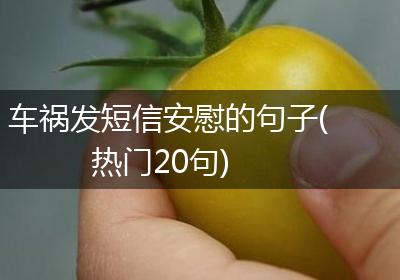 车祸发短信安慰的句子(热门20句)
