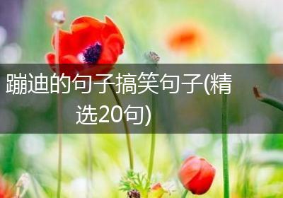蹦迪的句子搞笑句子(精选20句)