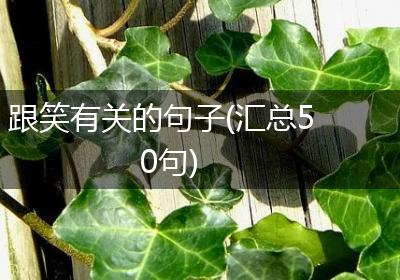 跟笑有关的句子(汇总50句)