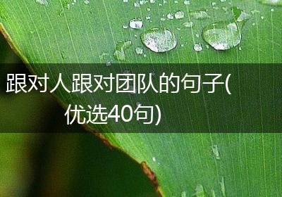跟对人跟对团队的句子(优选40句)
