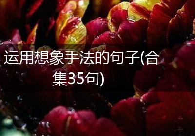 运用想象手法的句子(合集35句)