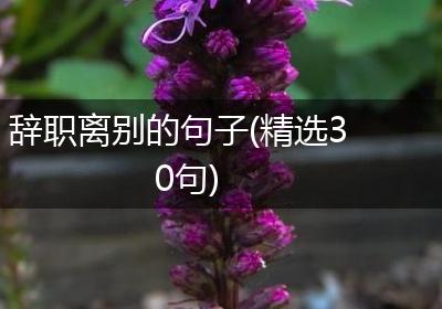 辞职离别的句子(精选30句)