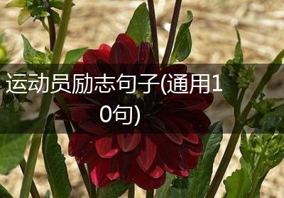 运动员励志句子(通用10句)