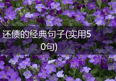 还债的经典句子(实用50句)