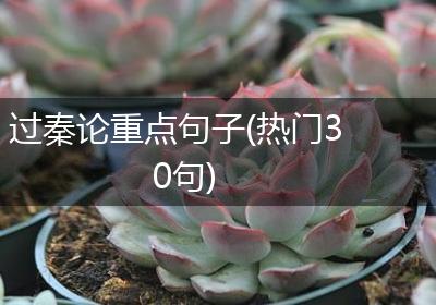 过秦论重点句子(热门30句)